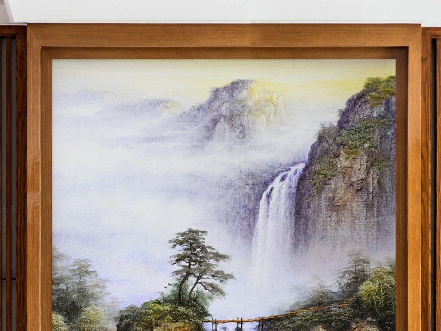 救援大嘴鸟